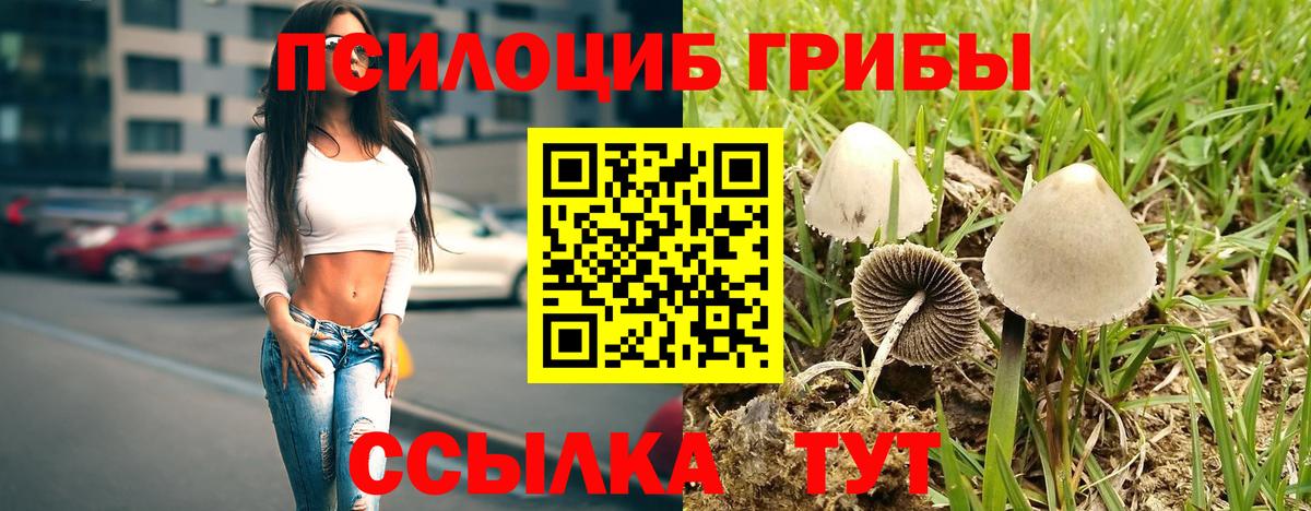Галлюциногенные грибы MAGIC MUSHROOMS Магадан