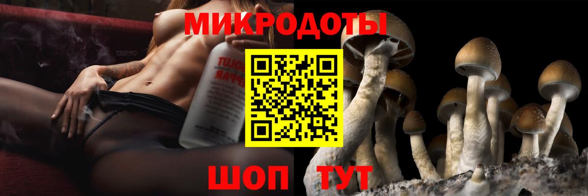 Псилоцибиновые грибы GOLDEN TEACHER  Псилоцибиновые грибы мицелий  Вход с VPN  Магадан 