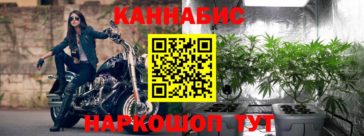 Каннабис VHQ  Вход с VPN  Марихуана Ganja  Каннабис MAZAR  Магадан 